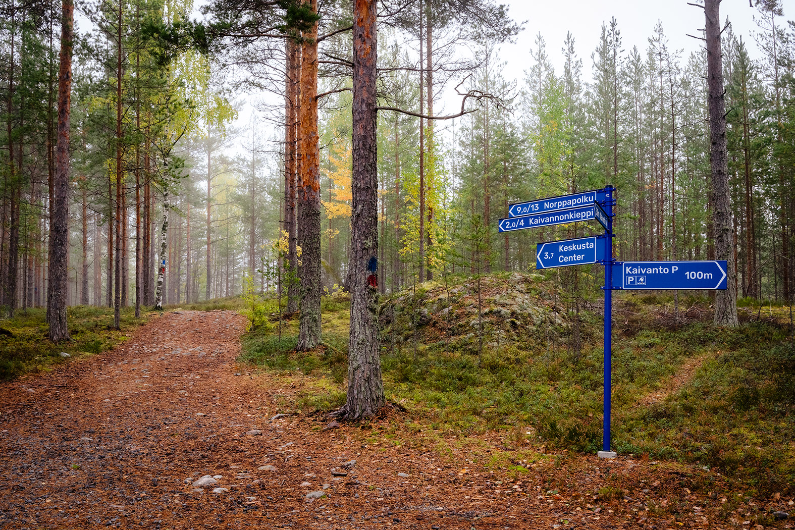 Retkeilyreitin alkupiste syksyisessä metsässä. Etualalla tienviitta, joka ohjaa eri reiteille.